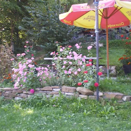 Belite Brezi Guest Apartment Shipkovo (Lovech)